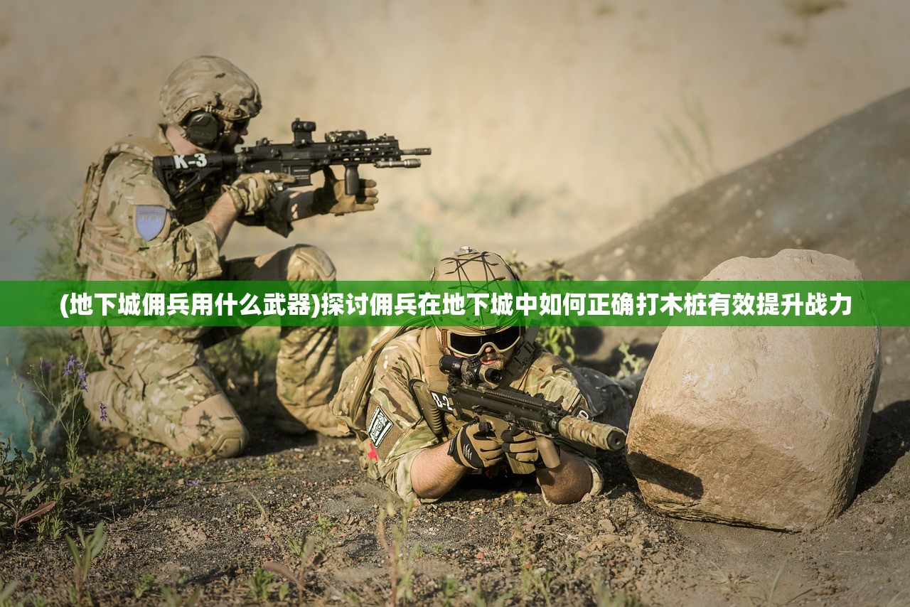 (地下城佣兵用什么武器)探讨佣兵在地下城中如何正确打木桩有效提升战力