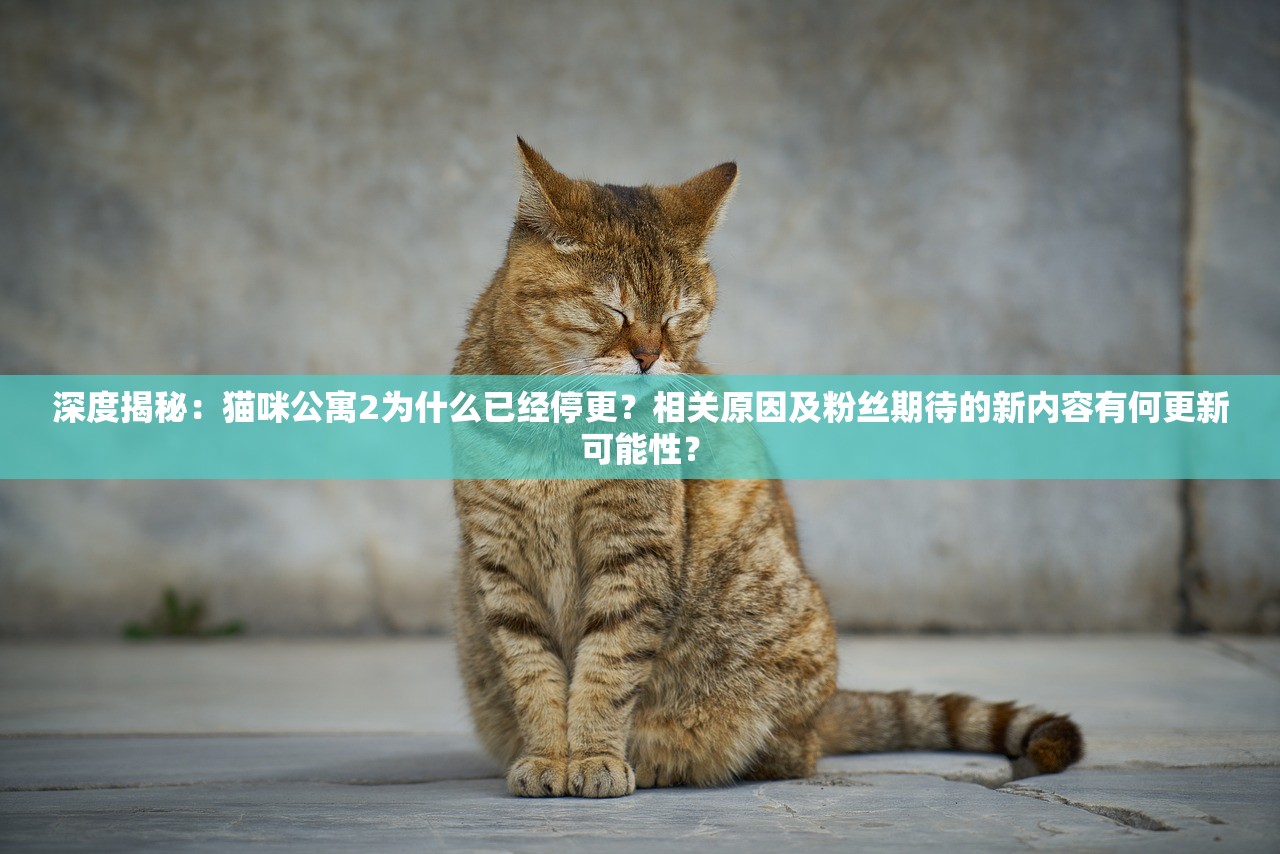 深度揭秘：猫咪公寓2为什么已经停更？相关原因及粉丝期待的新内容有何更新可能性？