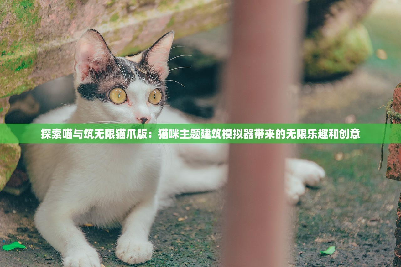 探索喵与筑无限猫爪版：猫咪主题建筑模拟器带来的无限乐趣和创意