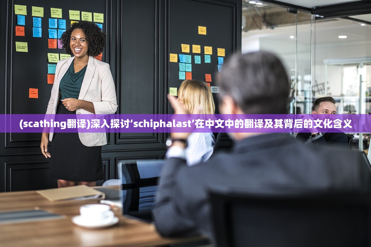 (scathing翻译)深入探讨‘schiphalast’在中文中的翻译及其背后的文化含义