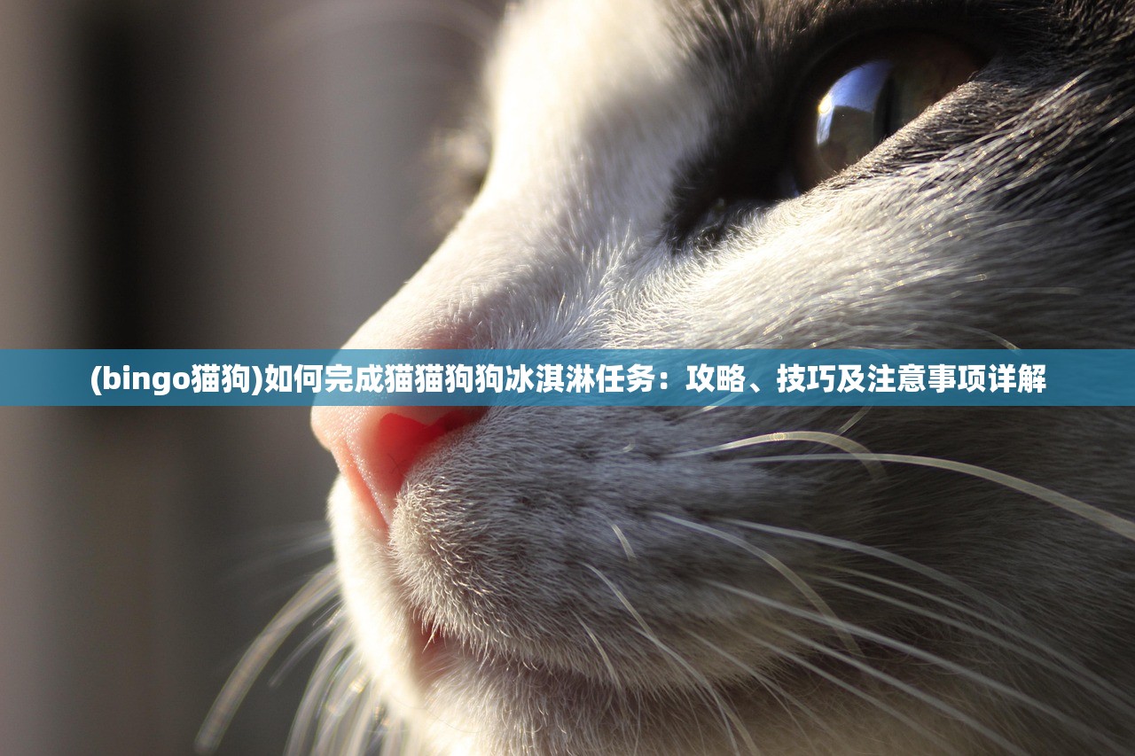 (bingo猫狗)如何完成猫猫狗狗冰淇淋任务：攻略、技巧及注意事项详解