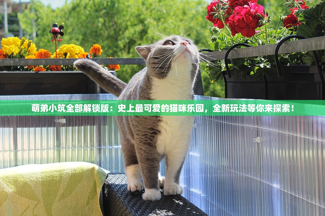 萌弟小筑全部解锁版：史上最可爱的猫咪乐园，全新玩法等你来探索！